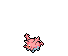 Corsola