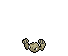 Geodude