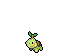 Turtwig