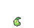 Chikorita