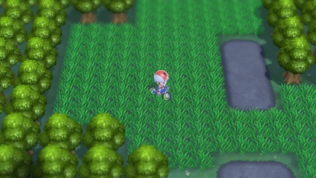 Orilla Valor en Pokémon Diamante Brillante y Pokémon Perla Reluciente