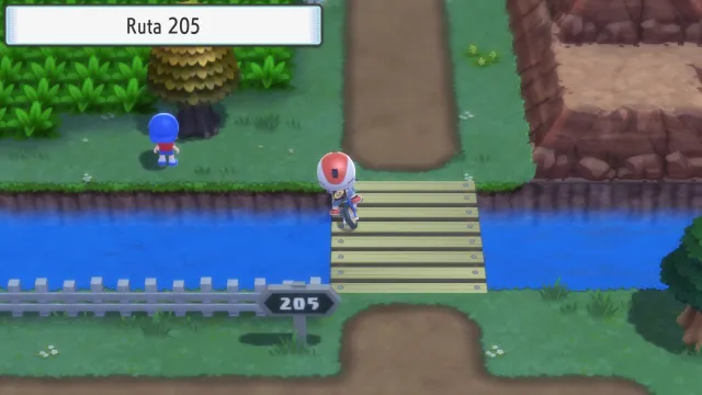 Ruta 205 en Pokémon Diamante Brillante y Pokémon Perla Reluciente