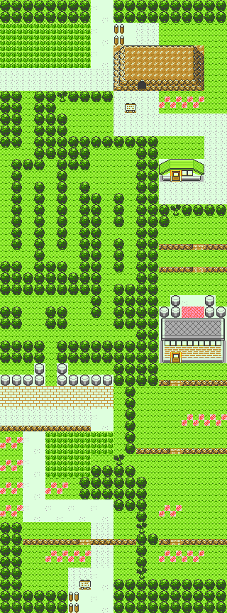 Ruta 2 en Pokémon Cristal