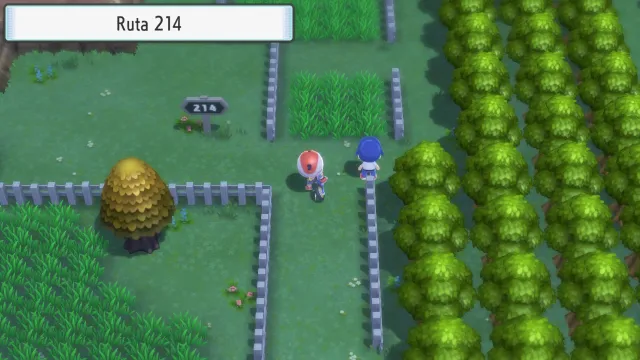 Ruta 214 en Pokémon Diamante Brillante y Pokémon Perla Reluciente