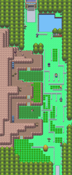 Ruta 214 en Pokémon Diamante y Pokémon Perla