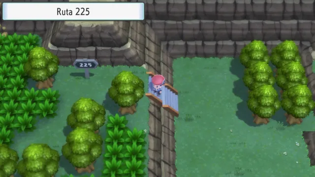 Ruta 225 en Pokémon Diamante Brillante y Pokémon Perla Reluciente
