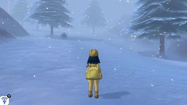 Vista de Desfiladero Nevado