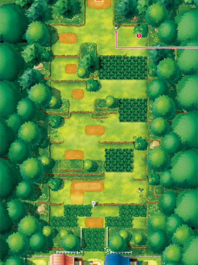 Ruta 1 en Pokémon: Let's Go, Pikachu! y Pokémon: Let's Go, Eevee!
