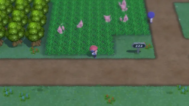 Ruta 222 en Pokémon Diamante Brillante y Pokémon Perla Reluciente