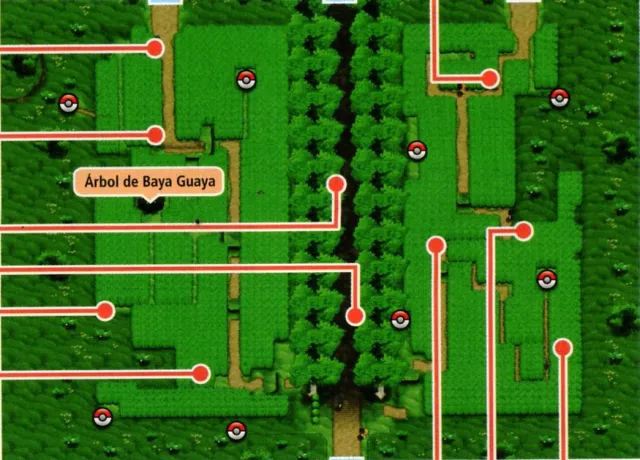 Vista de Ruta 6