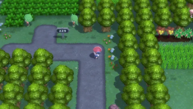 Ruta 229 en Pokémon Diamante Brillante y Pokémon Perla Reluciente