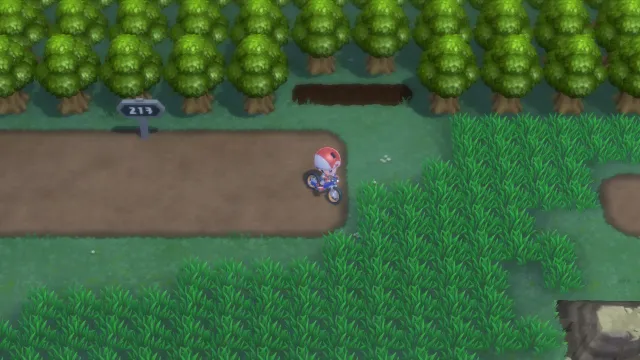 Ruta 213 en Pokémon Diamante Brillante y Pokémon Perla Reluciente