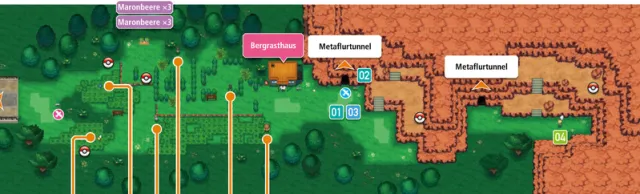 Ruta 116 en Pokémon Rubí Omega y Pokémon Zafiro Alfa