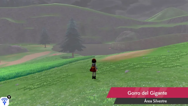 Vista de Gorro del Gigante