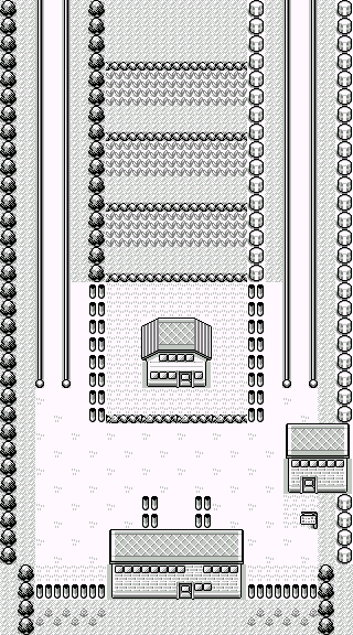 Ruta 5 en Pokémon Rojo y Pokémon Azul