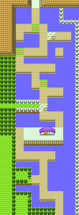 Ruta 12 en Pokémon Oro y Pokémon Plata