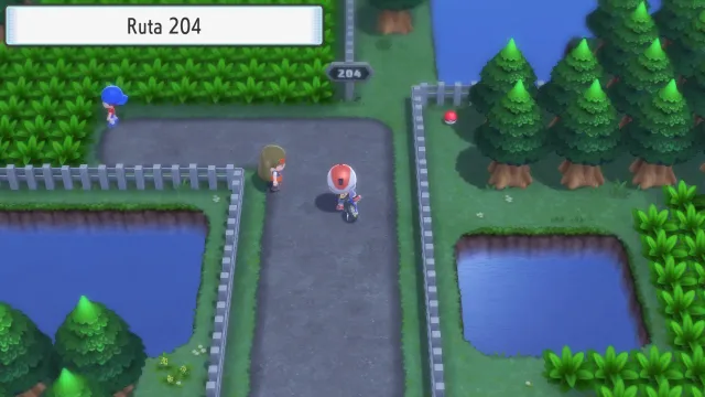 Ruta 204 en Pokémon Diamante Brillante y Pokémon Perla Reluciente