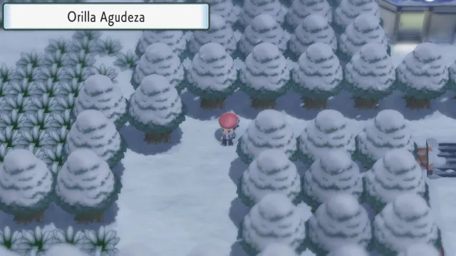 Orilla Agudeza en Pokémon Diamante Brillante y Pokémon Perla Reluciente