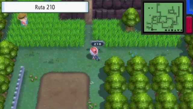 Ruta 210 en Pokémon Diamante Brillante y Pokémon Perla Reluciente