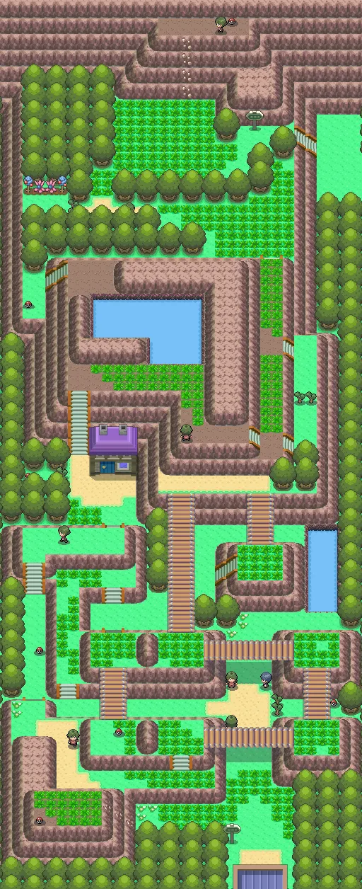 Ruta 225 en Pokémon Diamante y Pokémon Perla