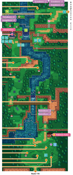 Ruta 119 en Pokémon Rubí Omega y Pokémon Zafiro Alfa
