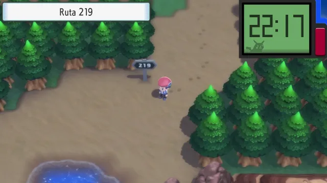 Ruta 219 en Pokémon Diamante Brillante y Pokémon Perla Reluciente