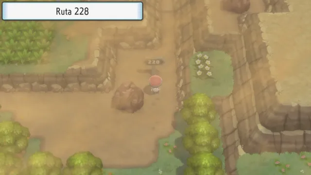 Ruta 228 en Pokémon Diamante Brillante y Pokémon Perla Reluciente