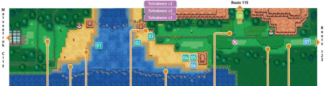 Ruta 118 en Pokémon Rubí Omega y Pokémon Zafiro Alfa