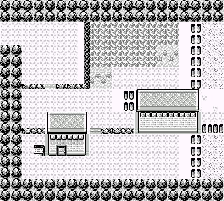 Ruta 7 en Pokémon Rojo y Pokémon Azul