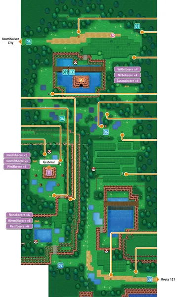 Ruta 120 en Pokémon Rubí Omega y Pokémon Zafiro Alfa