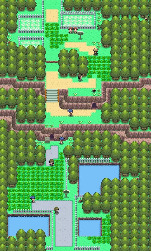 Ruta 204 en Pokémon Diamante y Pokémon Perla