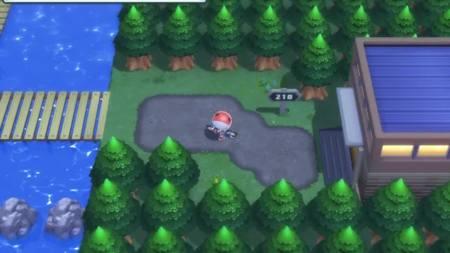 Ruta 218 en Pokémon Diamante Brillante y Pokémon Perla Reluciente