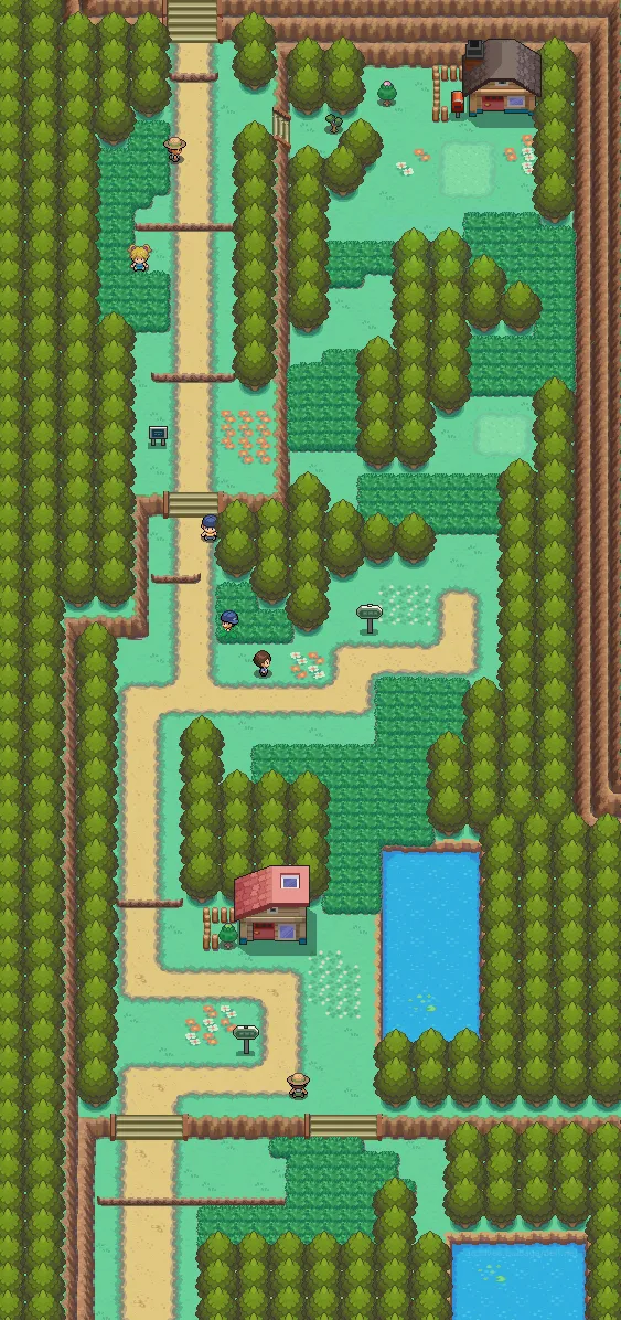 Ruta 30 en Pokémon Oro HeartGold y Pokémon Plata SoulSilver