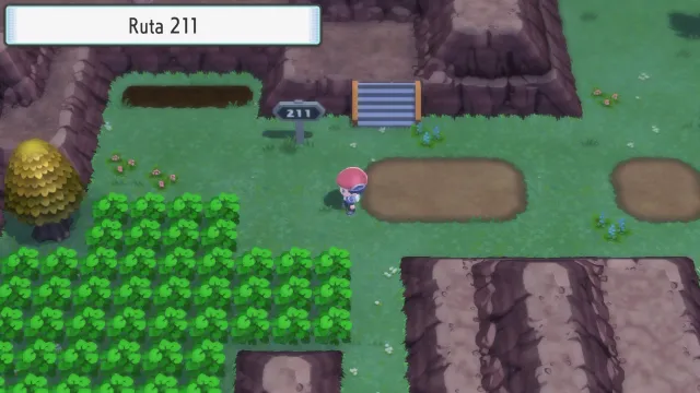 Ruta 211 en Pokémon Diamante Brillante y Pokémon Perla Reluciente