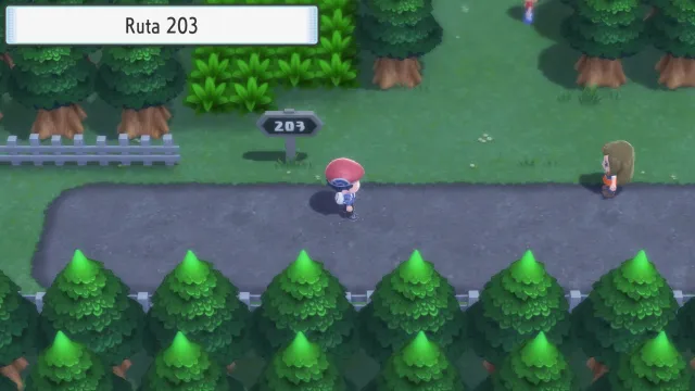 Ruta 203 en Pokémon Diamante Brillante y Pokémon Perla Reluciente