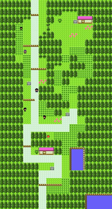 Ruta 30 en Pokémon Cristal