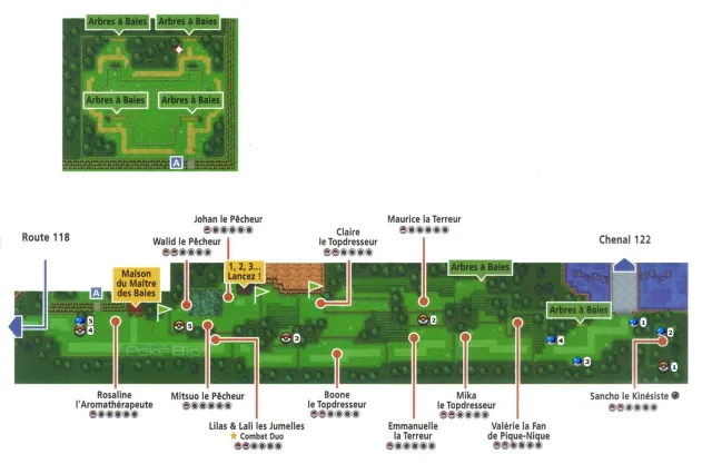 Ruta 123 en Pokémon Rubí Omega y Pokémon Zafiro Alfa