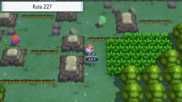 Ruta 227 en Pokémon Diamante Brillante y Pokémon Perla Reluciente