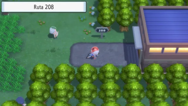 Ruta 208 en Pokémon Diamante Brillante y Pokémon Perla Reluciente