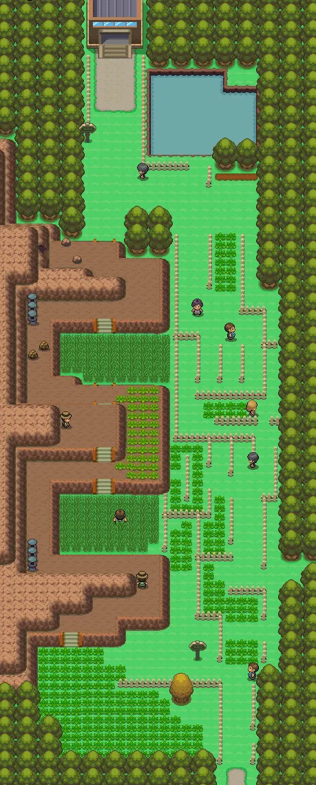 Ruta 214 en Pokémon Platino