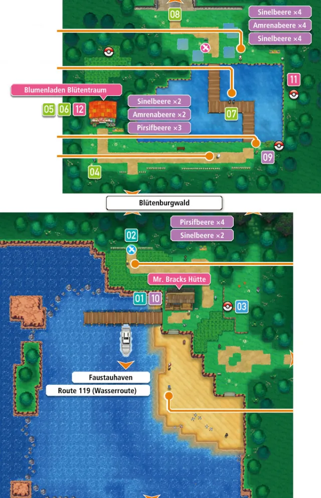 Ruta 104 en Pokémon Rubí Omega y Pokémon Zafiro Alfa