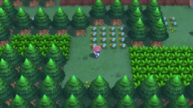 Ruta 221 en Pokémon Diamante Brillante y Pokémon Perla Reluciente