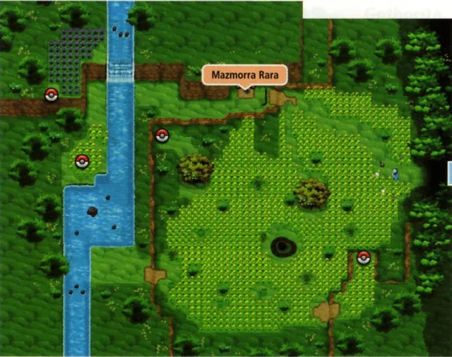 Vista de Villa Pokémon