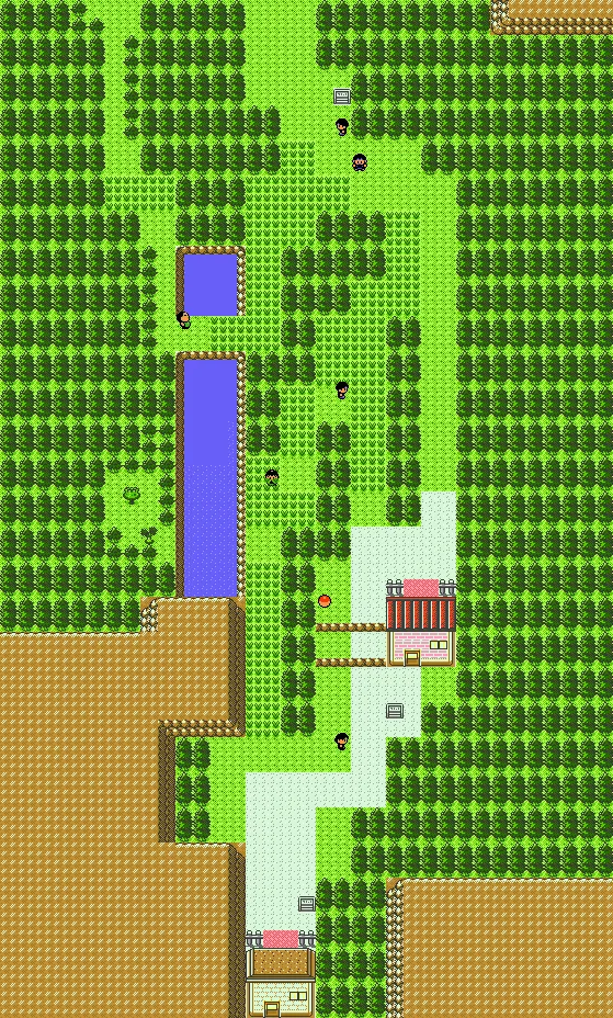 Ruta 43 en Pokémon Oro y Pokémon Plata