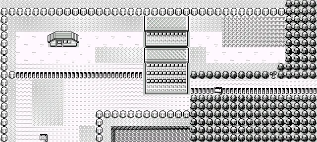 Ruta 16 en Pokémon Rojo y Pokémon Azul