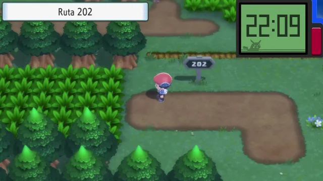 Ruta 202 en Pokémon Diamante Brillante y Pokémon Perla Reluciente