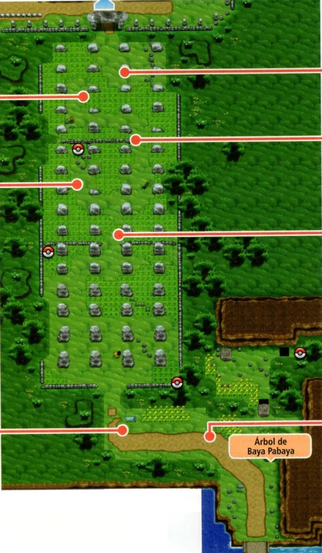 Vista de Ruta 10