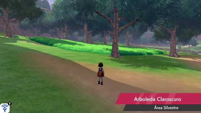 Vista de Arboleda Claroscuro