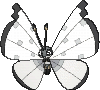 Vivillon